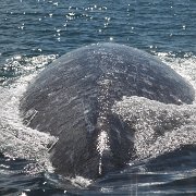 IMG 0001 2 (66)